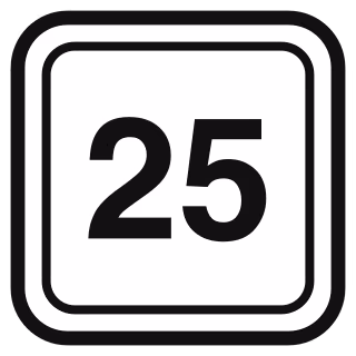 NY 25 Jericho Turnpike highway shield road sign — Long Island, NY